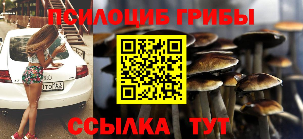 Псилоцибиновые грибы мухоморы Бор